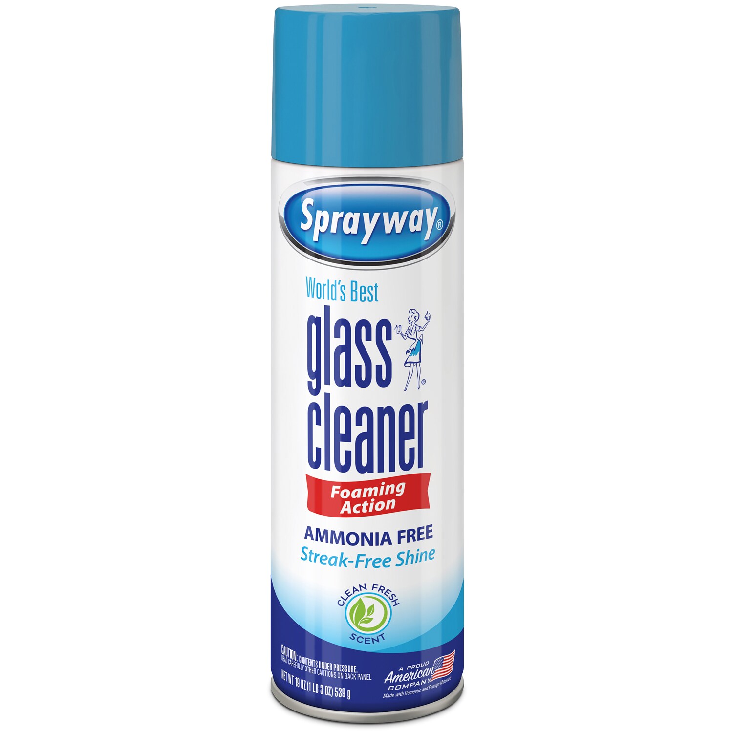 Sprayway Glass Cleaner