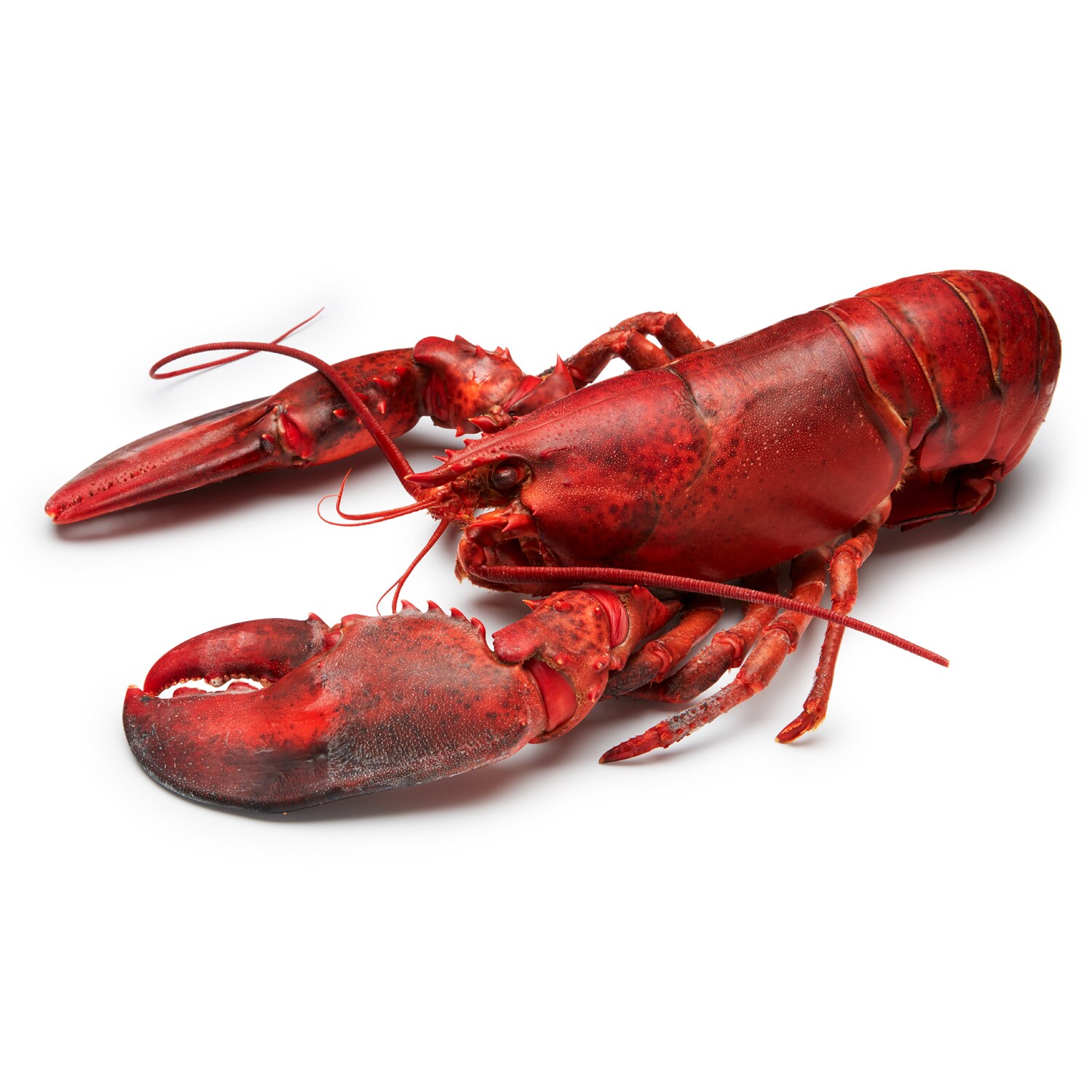 FreshDirect Steamed Lobster