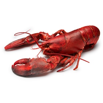 FreshDirect Steamed Lobster