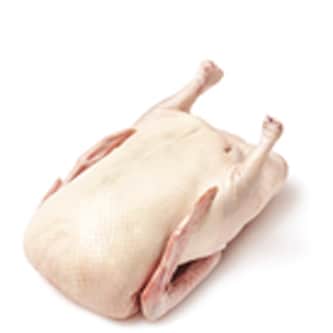 Culver Duck Fresh Whole Duckling