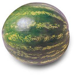 Organic Baby Seedless Watermelon