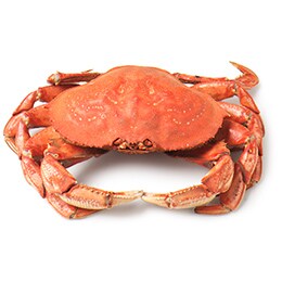 Fresh Cooked Dungeness Crab