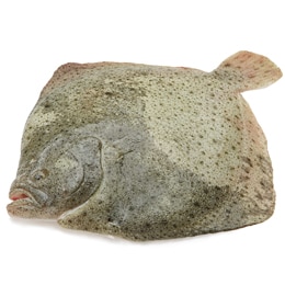 Whole Turbot, Farm-Raised