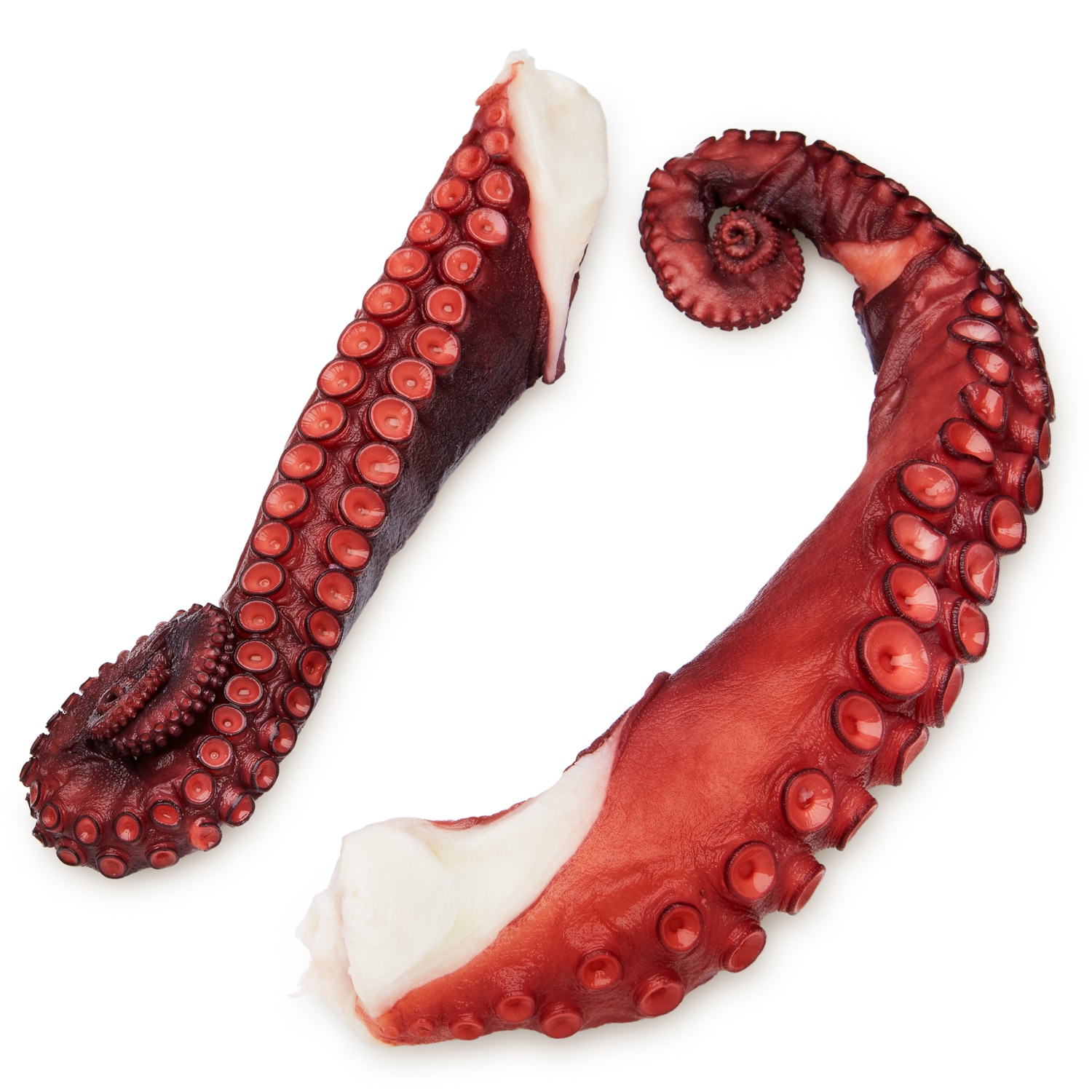 Cooked Octopus Legs, Frozen