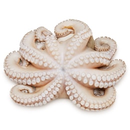 Whole Octopus, Tenderized, Previously Frozen