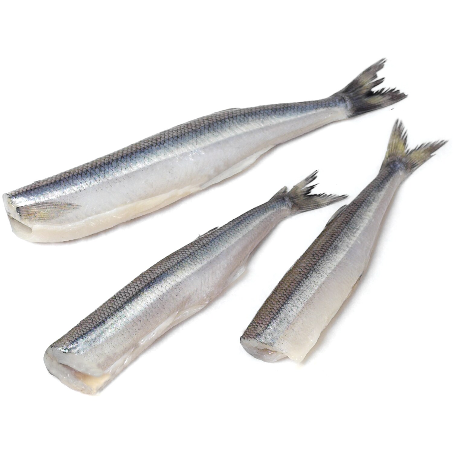 Wild Fresh Smelt
