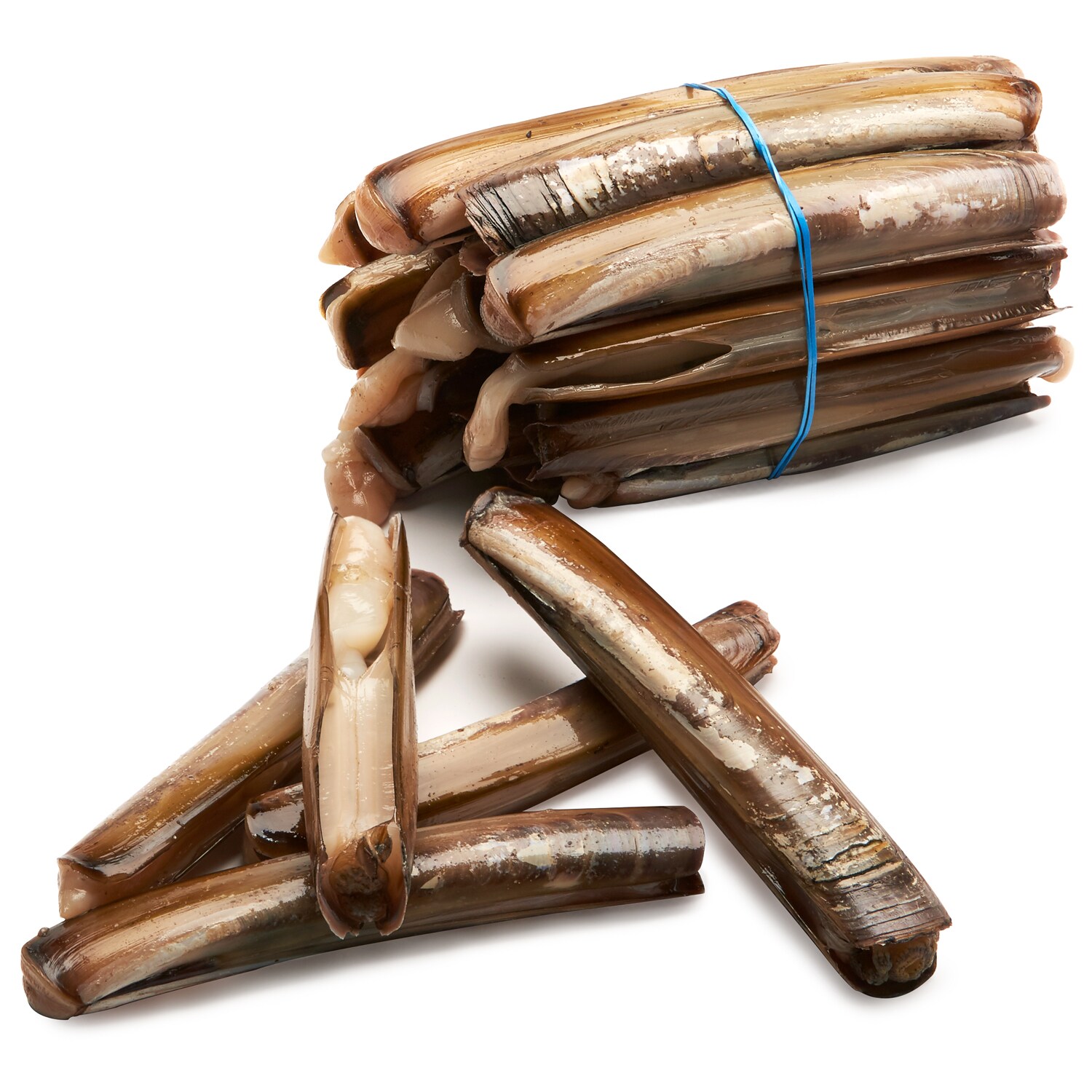 Razor Clams