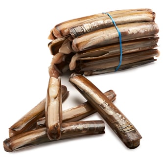Razor Clams