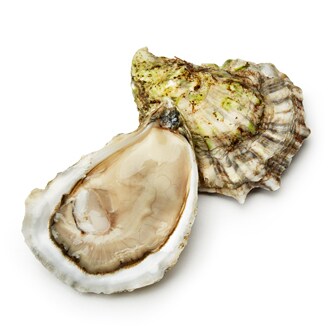 Farm Raised Standish Shore Oysters
