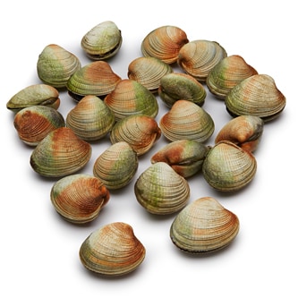 Wild Cockles