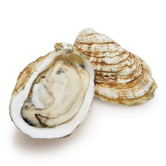 Moondancer Oysters