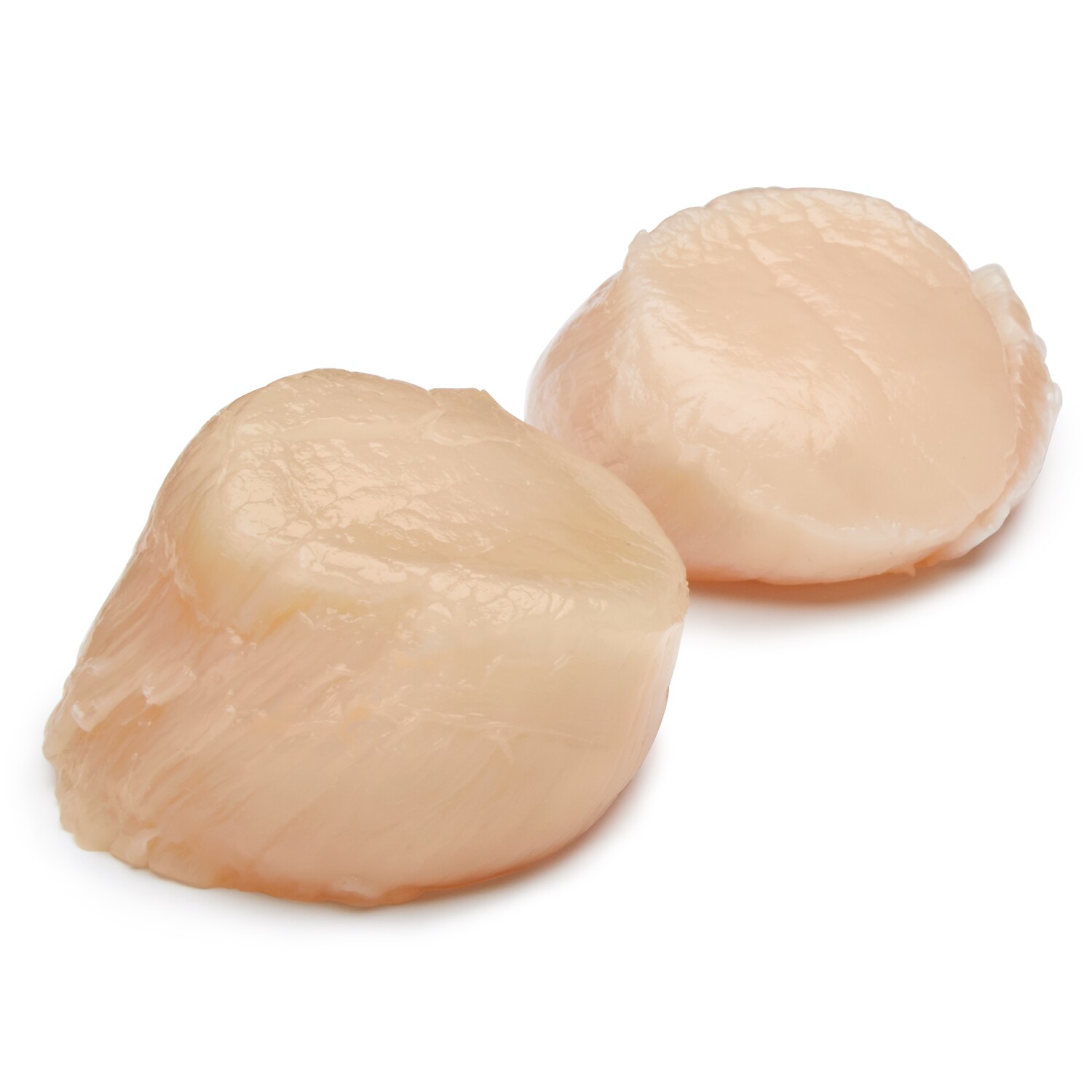 Jumbo U12 Dry Sea Scallops
