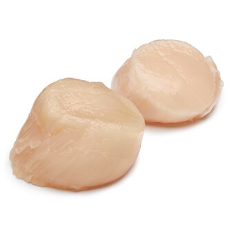 Jumbo U15 Dry Sea Scallops