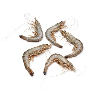 Mangrove Black Tiger Shrimp Head-On, 9-11/lb