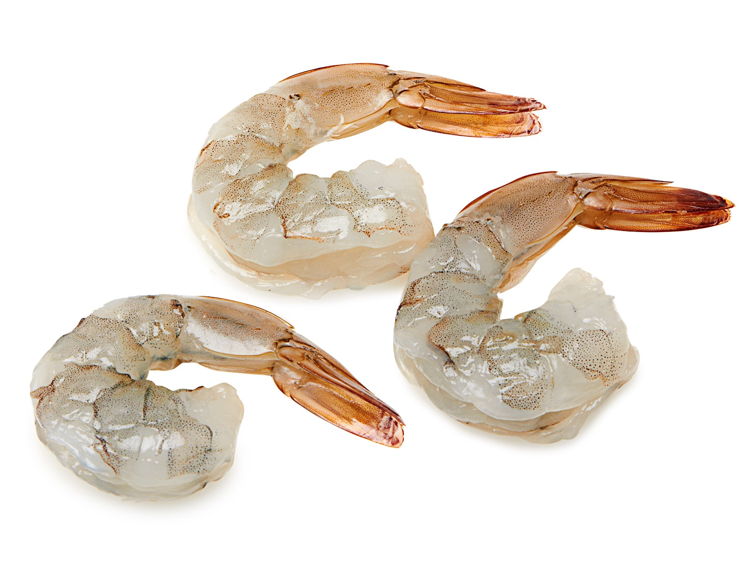 Blue Foot Fresh White Shrimp, Cleaned, 26-30/lb
