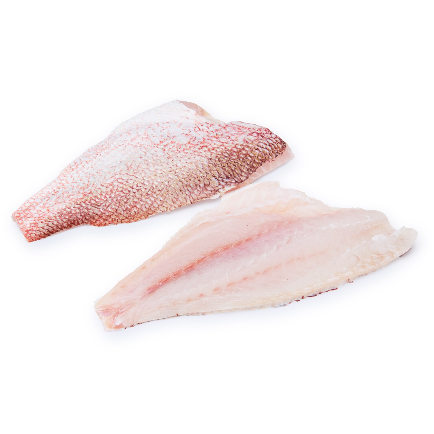 Wild Snapper Fillet