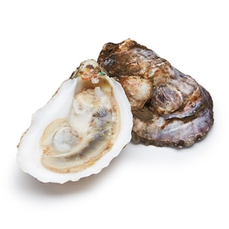 Misty Point Oysters