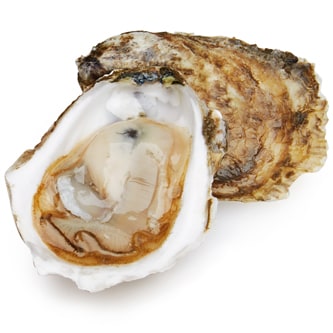 Wellfleet Fieldpoint Oysters