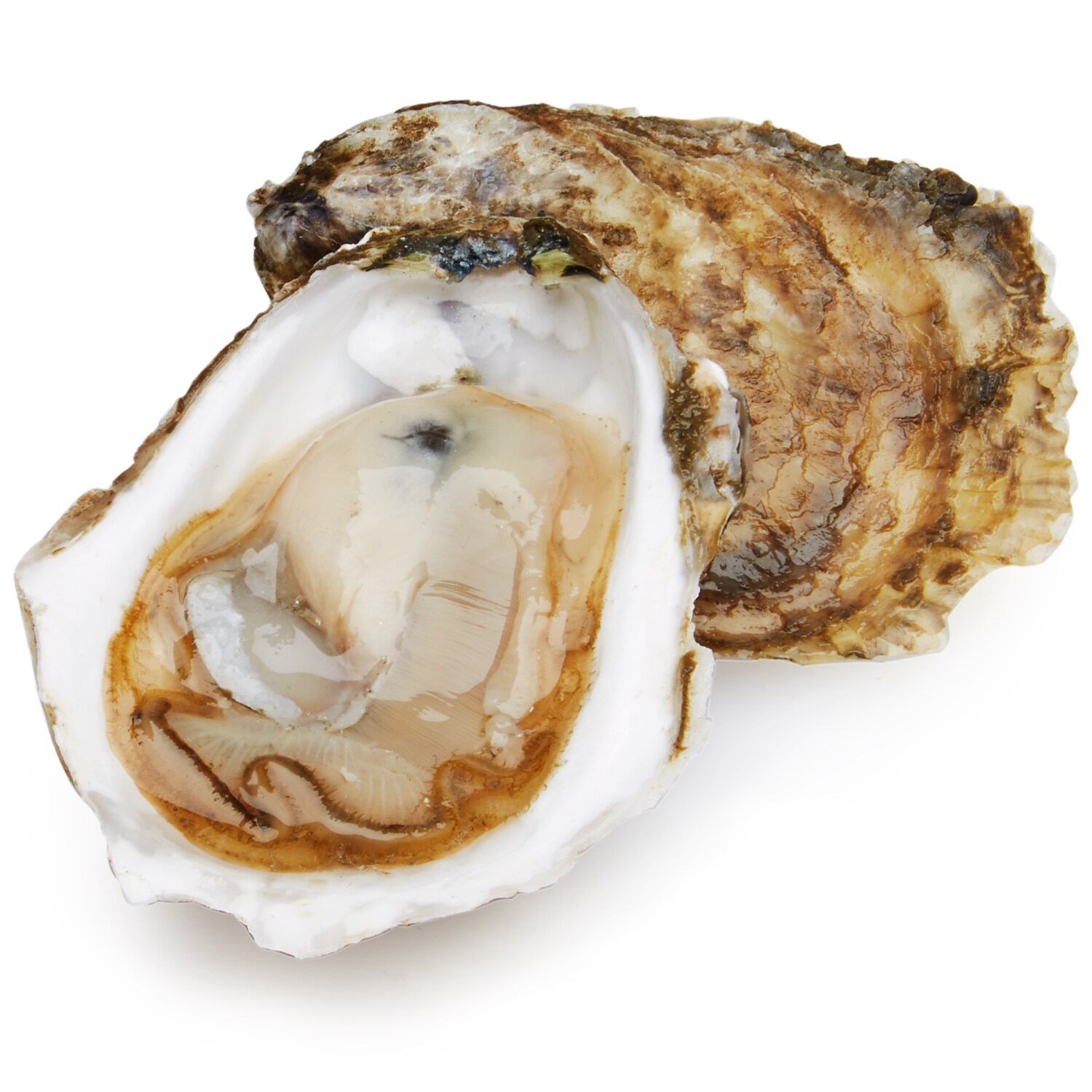 Wellfleet Fieldpoint Oysters Sampler
