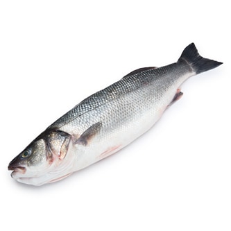 Extra Jumbo Branzino (Serves 4)