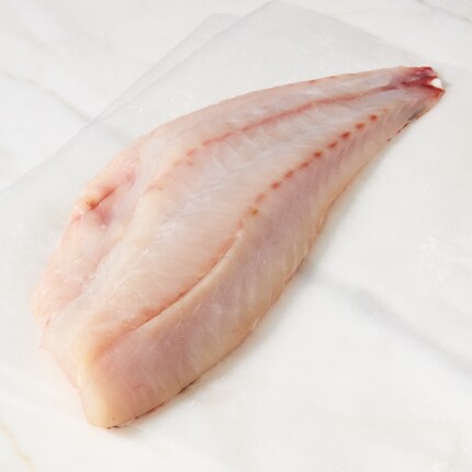 Seremoni Grade Wild Vermillion Rockfish Fillet, image 2 of 2 slides