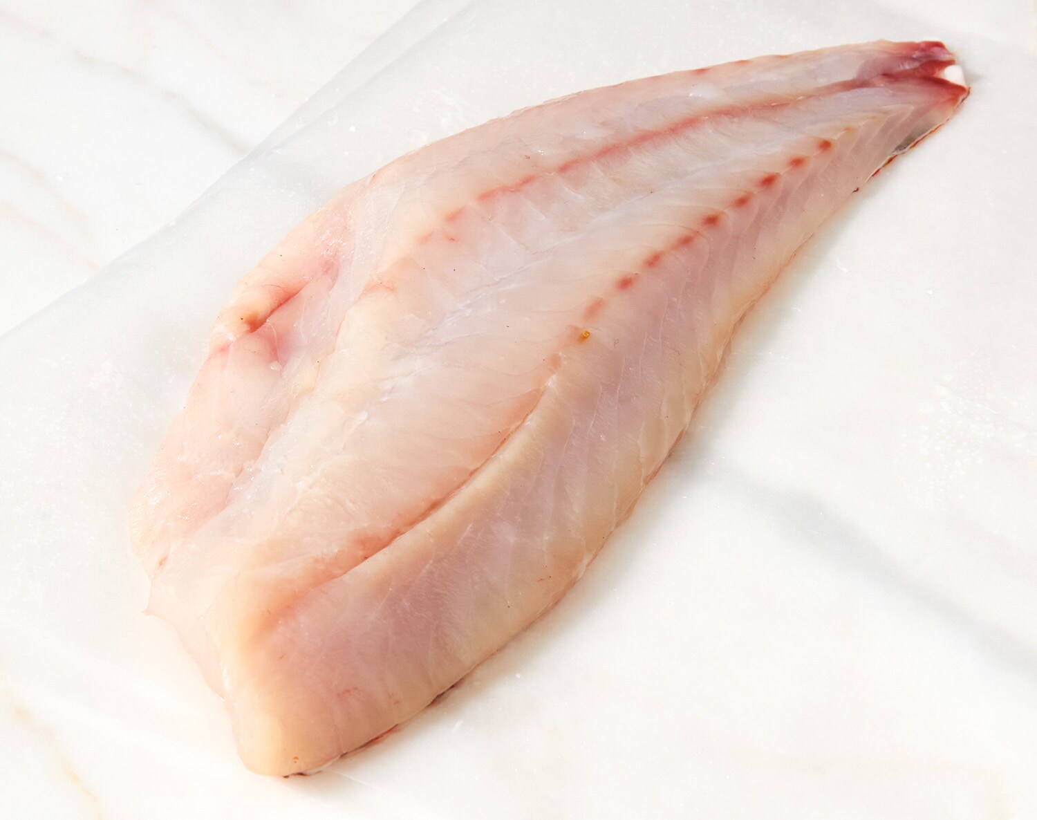 Seremoni Grade Wild Vermillion Rockfish Fillet, image 2 of 2 slides