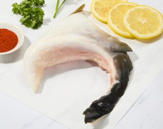 Royal Sashimi Yellowtail Collar