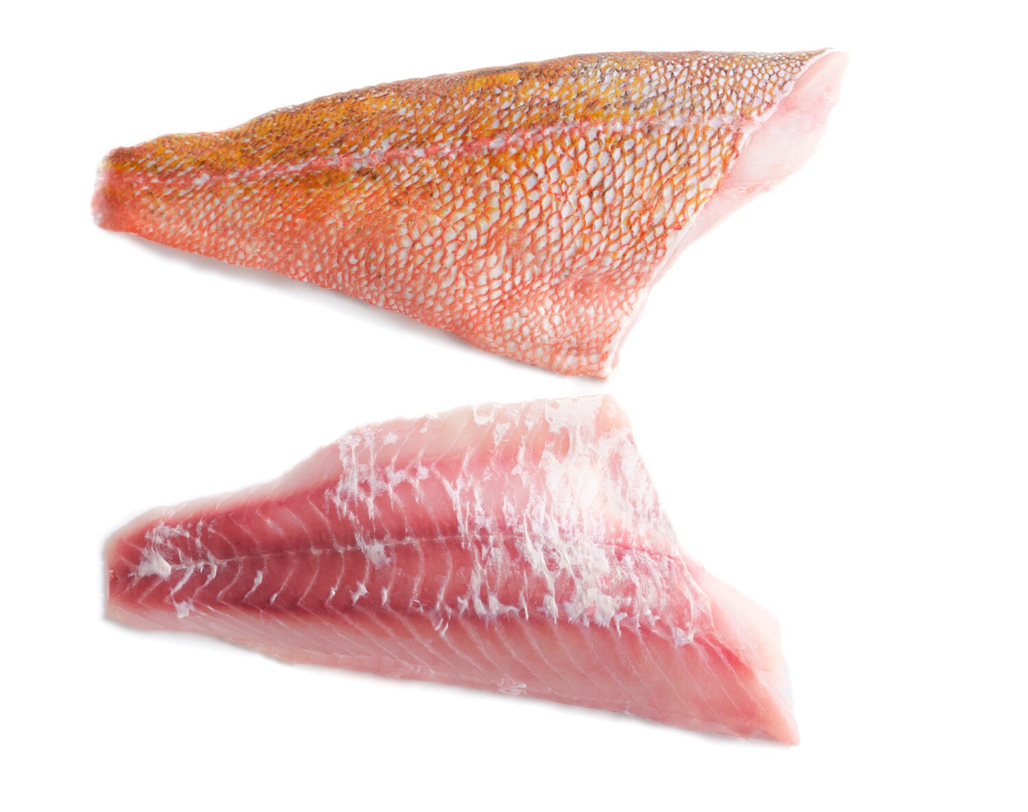 Seremoni Grade Wild Vermillion Rockfish Fillet