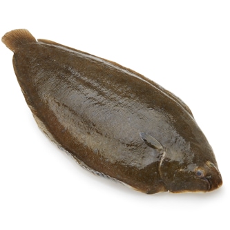 Wild Whole Lemon Sole