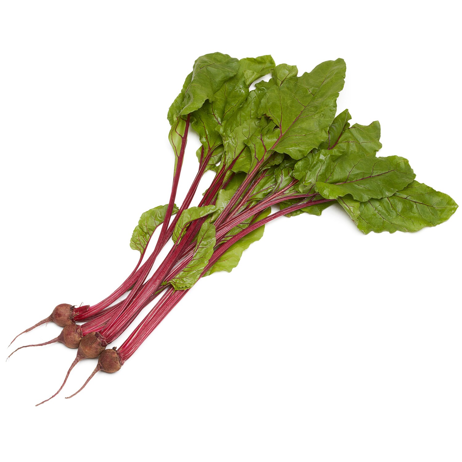 Satur Farms Red Baby Beets