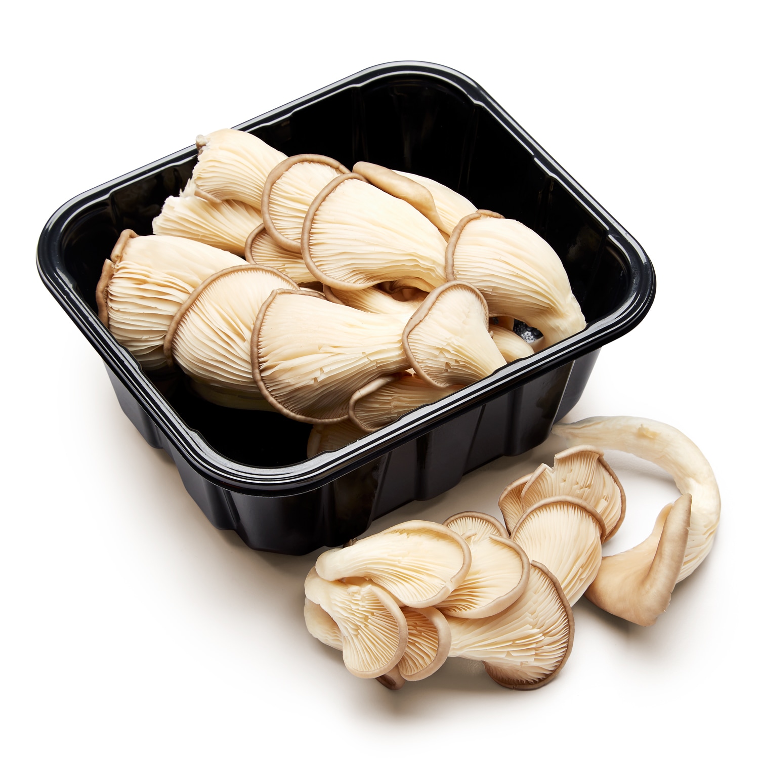 Oyster Mushrooms, Packaged
