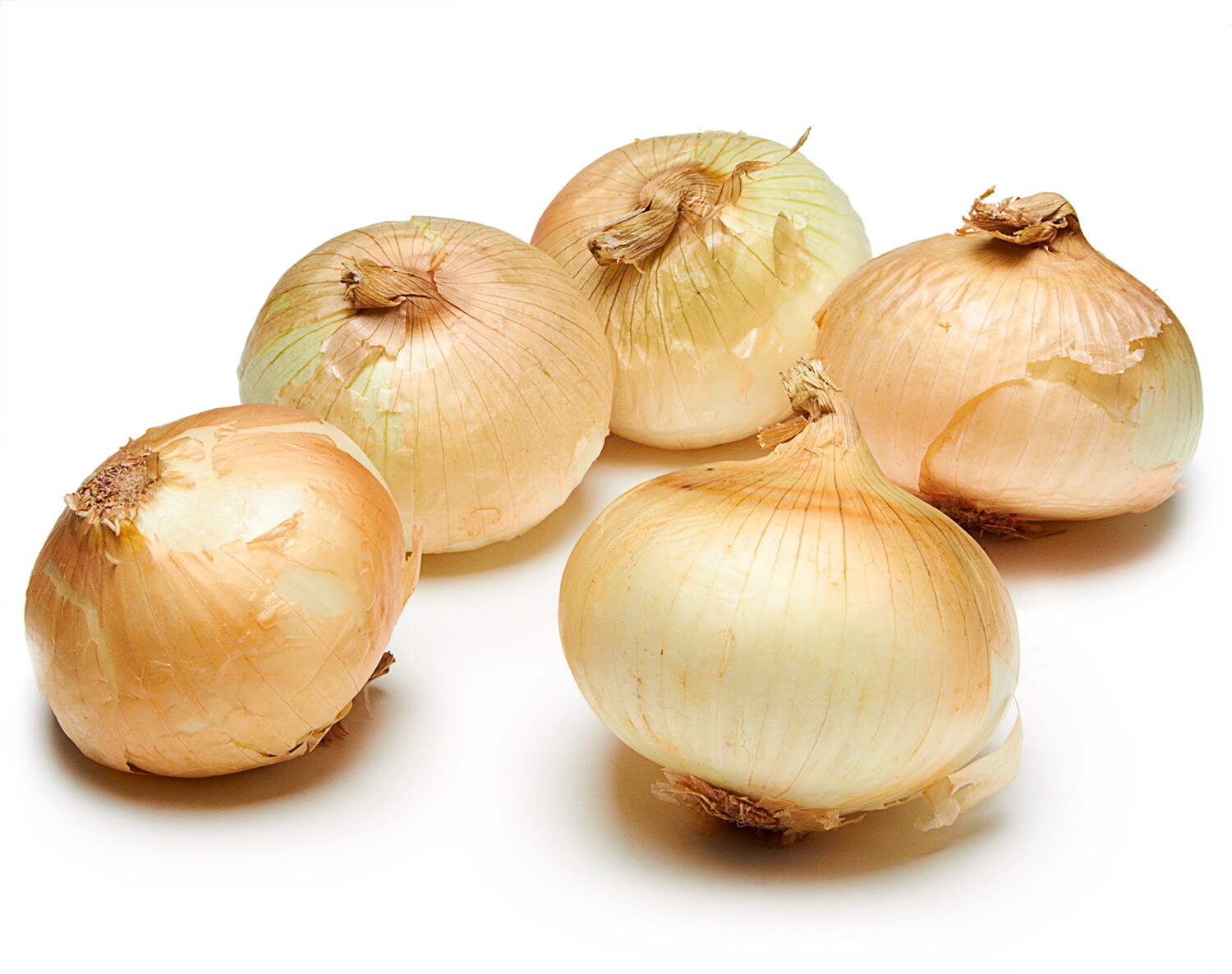 Vidalia Onion