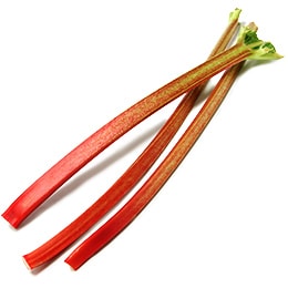 Rhubarb