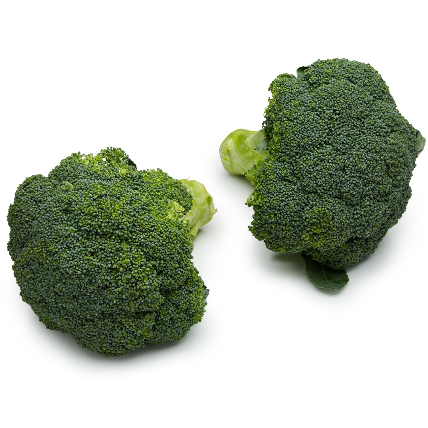 Lancaster Farm Fresh Cooperative Local Organic Broccoli