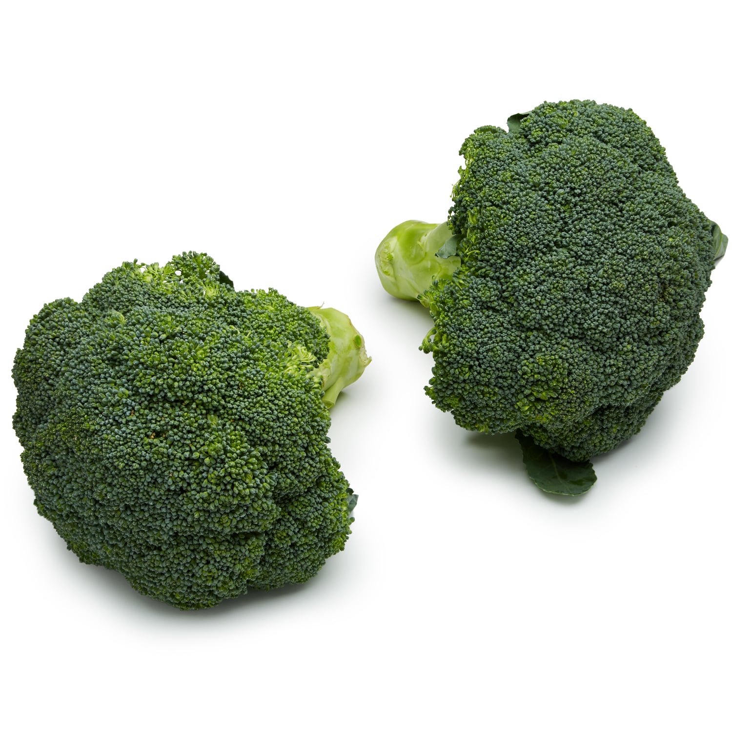 Lancaster Farm Fresh Cooperative Local Organic Broccoli
