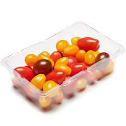 Sunset Grown Wild Wonders Tomatoes