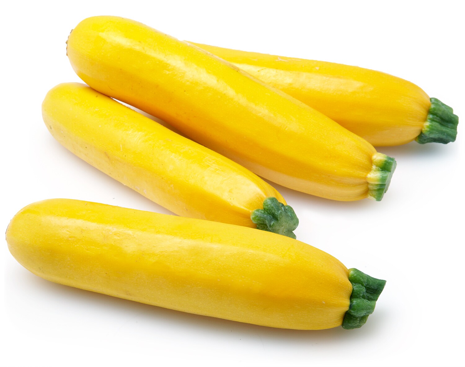 Wells Homestead Acres Local Golden Zucchini