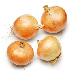 Lancaster Farm Fresh Cooperative Local Organic Sweet Onion