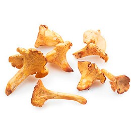 Fresh Wild Chanterelle Mushrooms