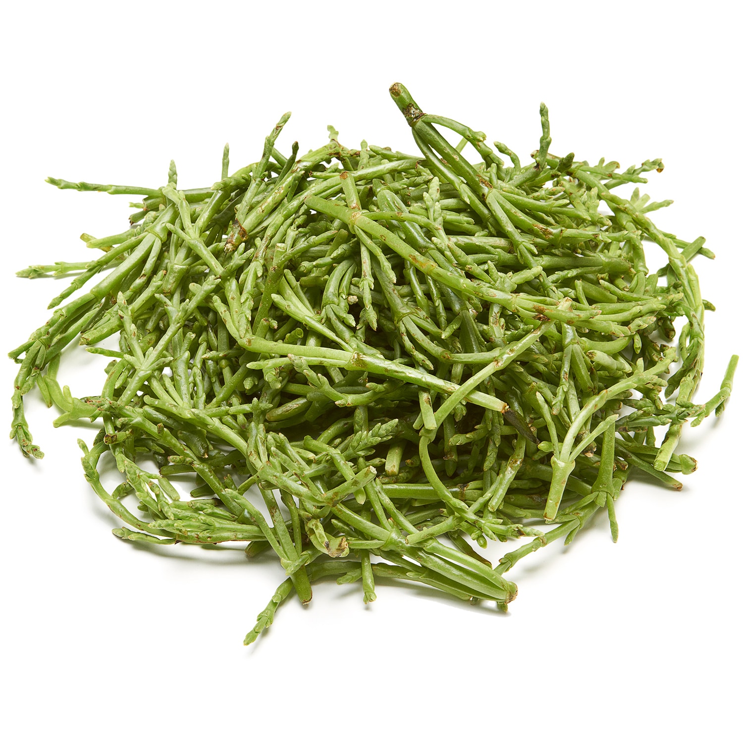 Sea Beans