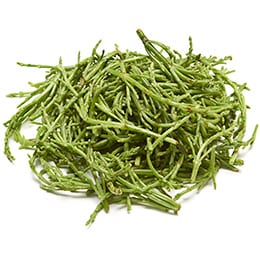 Sea Beans
