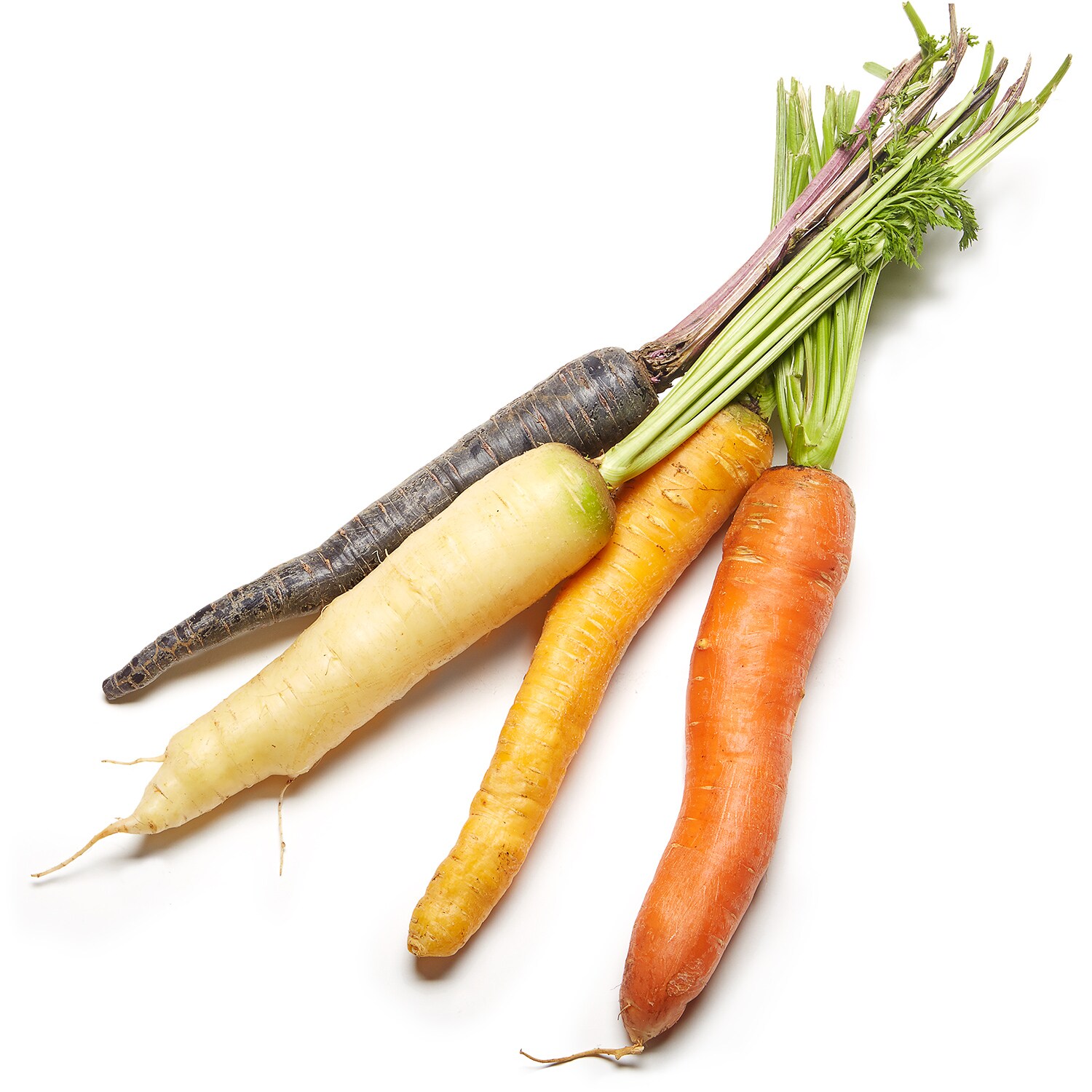 Order Black Dirt Region Rainbow Carrots, Bunch Fast Delivery