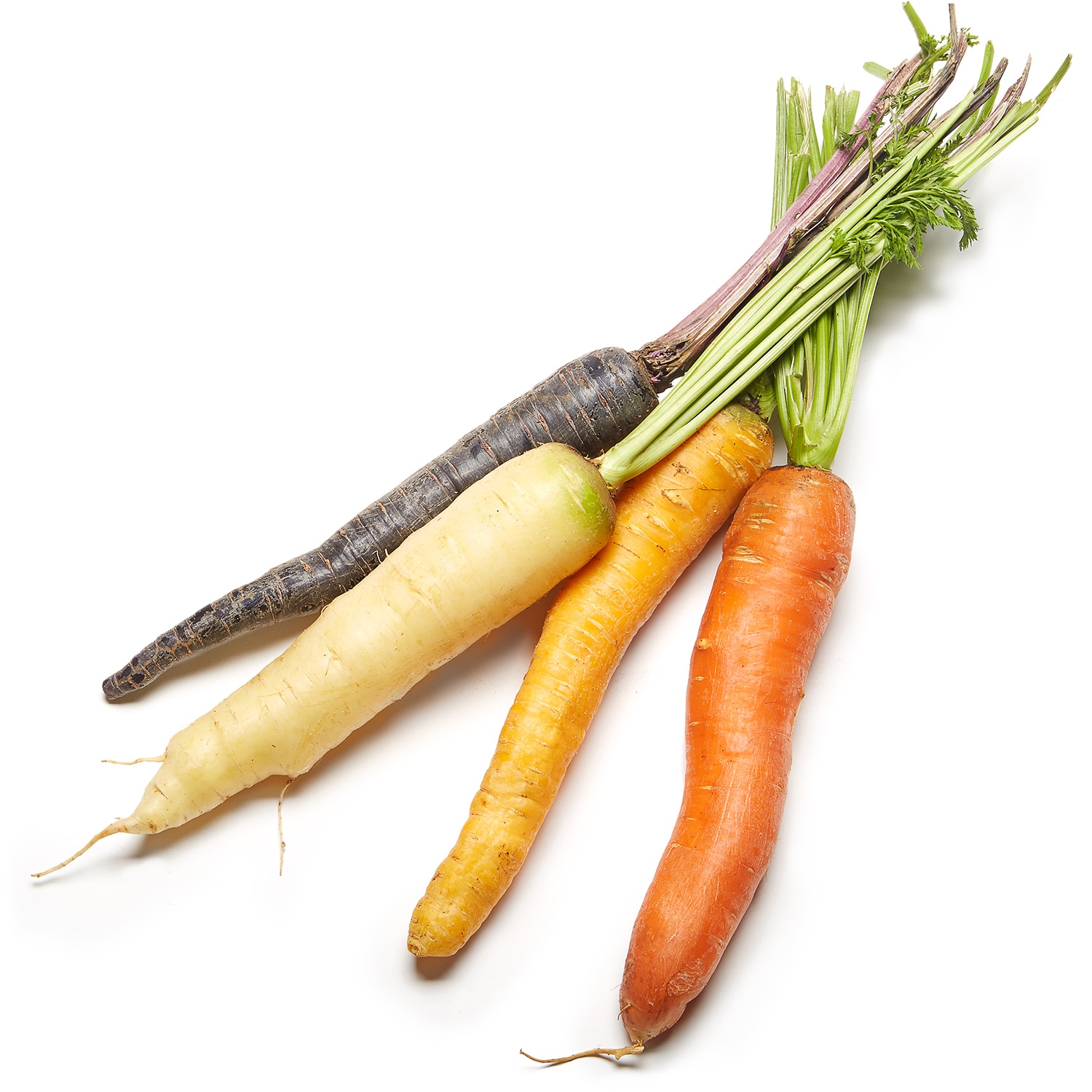 Black Dirt Region Rainbow Carrots, Bunch