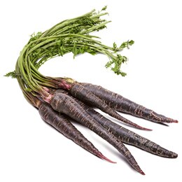 Black Dirt Region Purple Carrots, Bunch