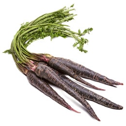 Black Dirt Region Purple Carrots, Bunch