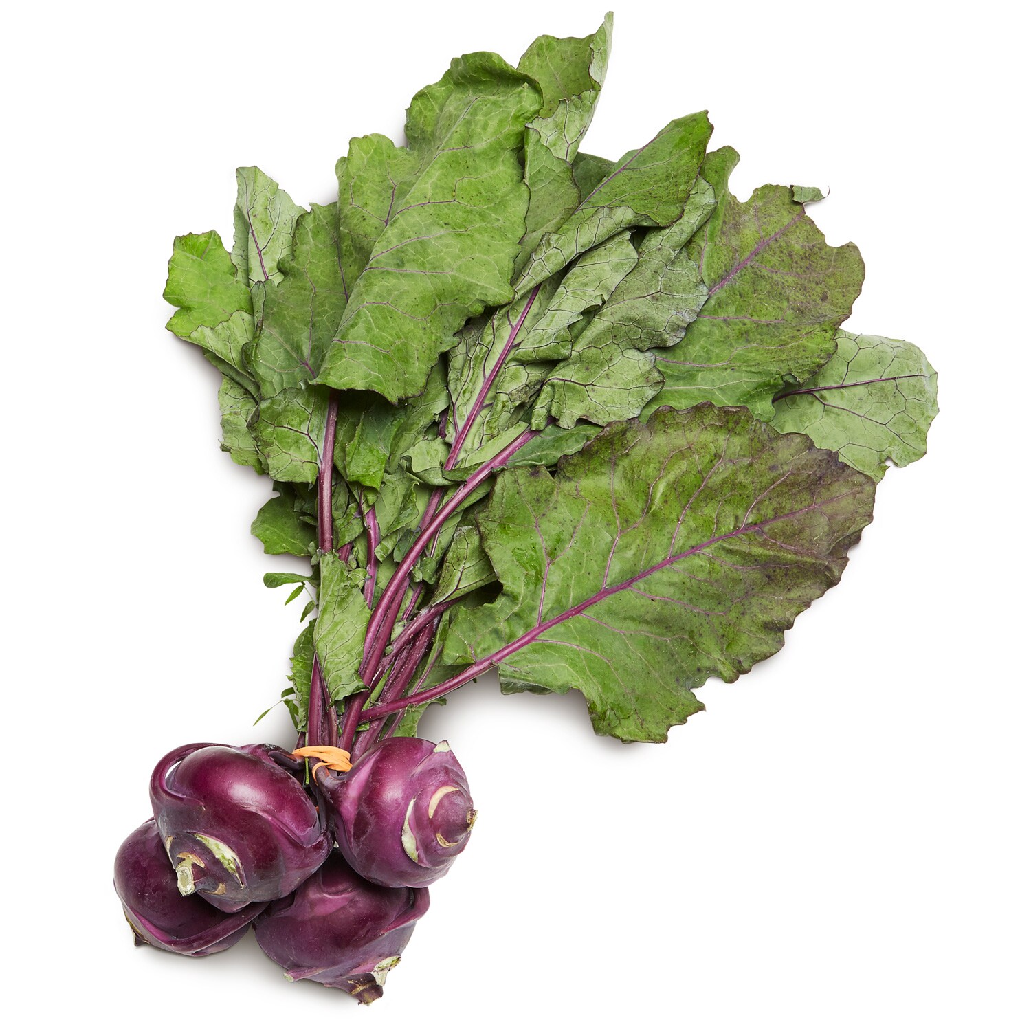 Black Dirt Region Purple Kohlrabi