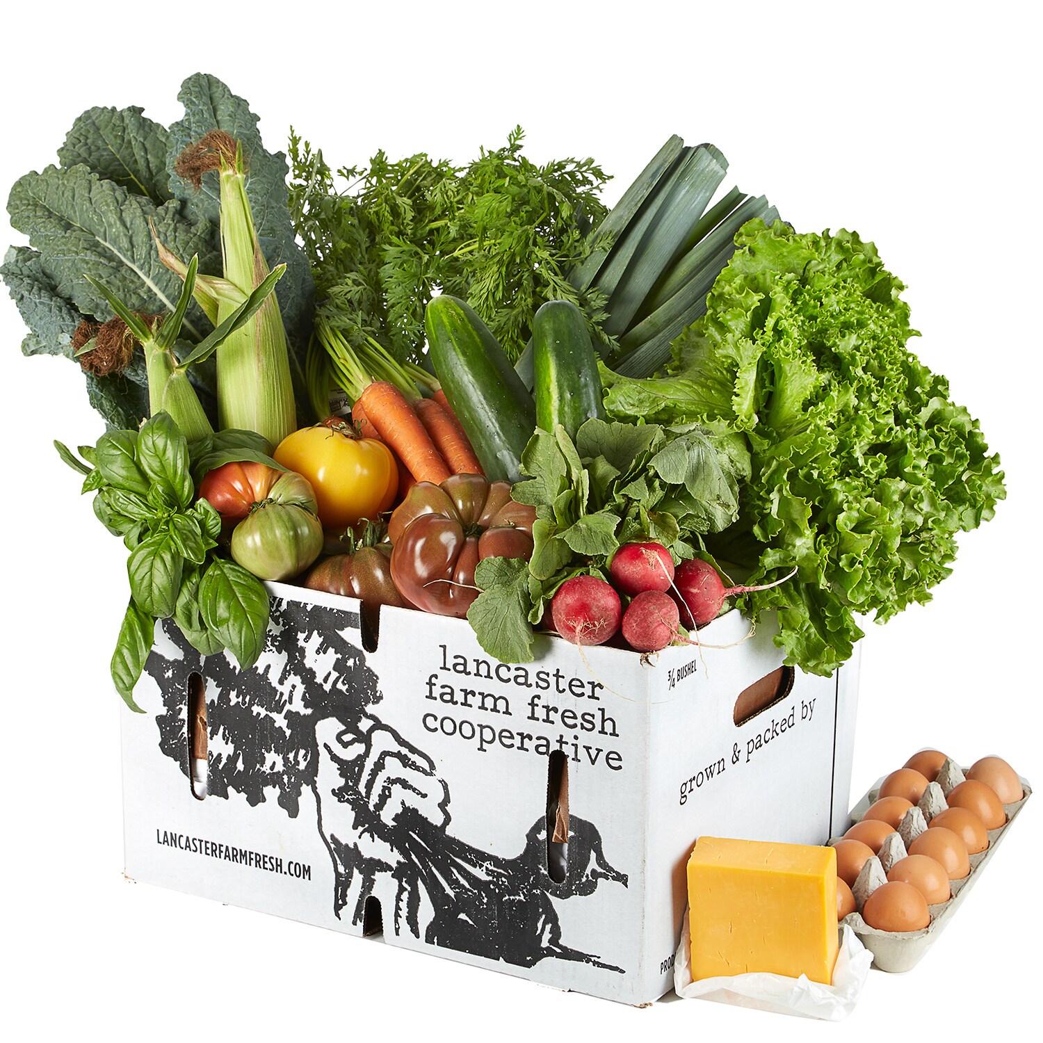 Lancaster Farm Fresh Cooperative Local Organic Vegetable Farm Share with Eggs and Cheese