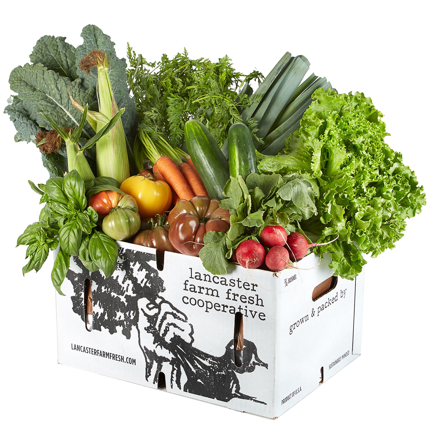 Lancaster Farm Fresh Cooperative Local Organic Vegetable Farm Share