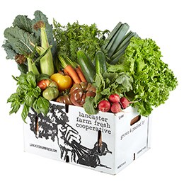 Lancaster Farm Fresh Cooperative Local Organic Vegetable Farm Share