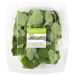 Meadows and More Wild Lambsquarters